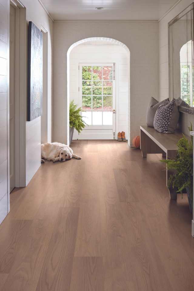 natural white oak look luxury vinyl in contemporary entryway with dog